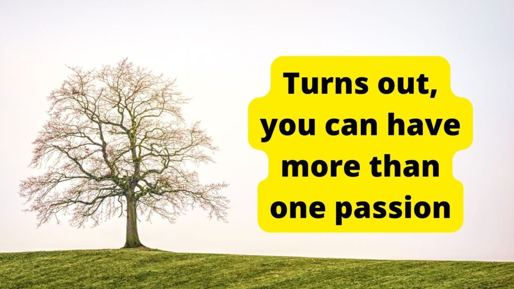 Photo of a large tree growing on a green field, with black text highlighted in yellow: "Turns out, you can have more than one passion."