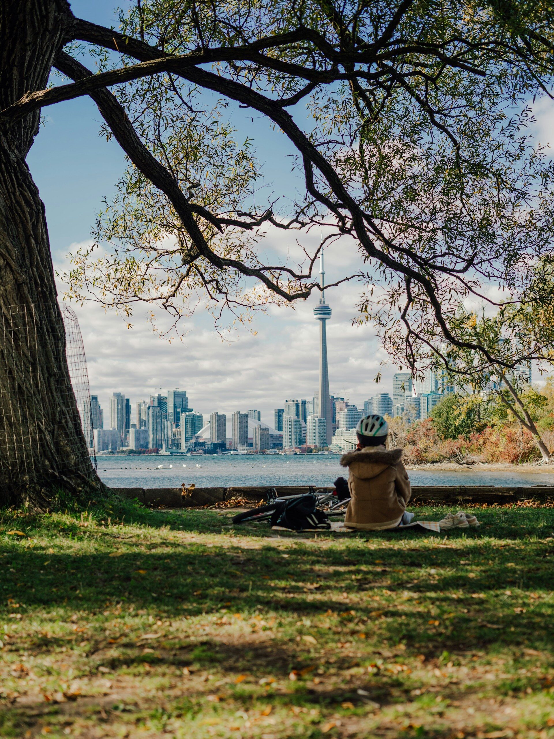A person wearing a helmet sits on grass under a tree, facing a city skyline with the CN Tower in Toronto across the water, on a partly cloudy day.